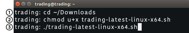 Linux Terminal